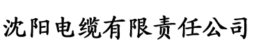 亚洲精品无码成人片久久电缆厂logo